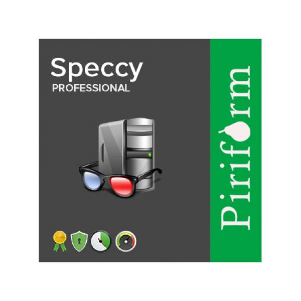 piriform speccy professional